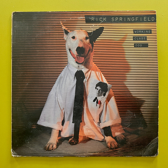 Rick Springfield - Working Class Dog