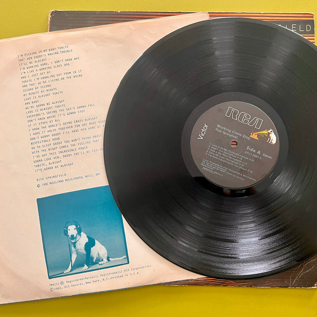 Rick Springfield - Working Class Dog